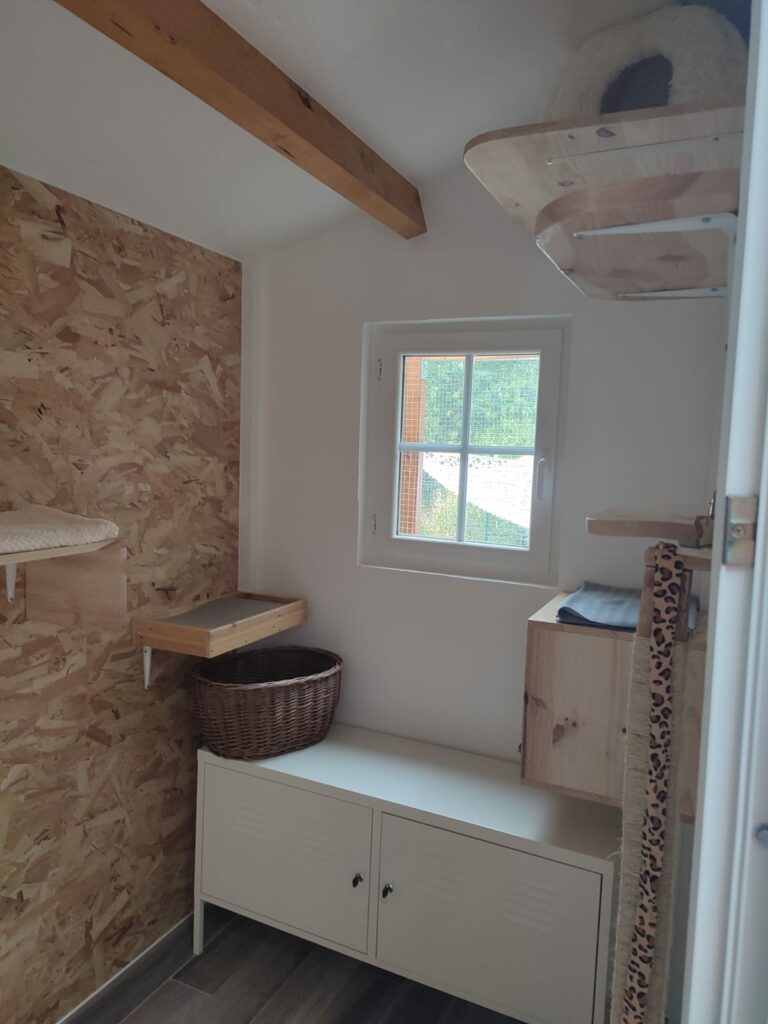 Espace intérieur réservé aux chats