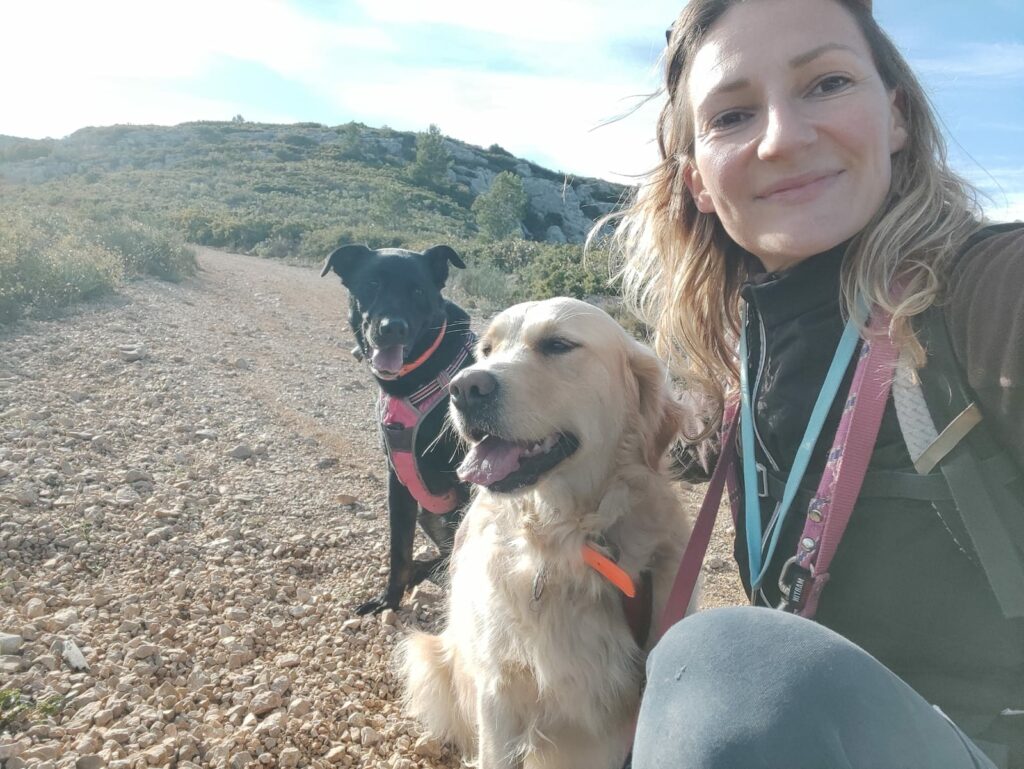 Balade en colline avec deux chiens