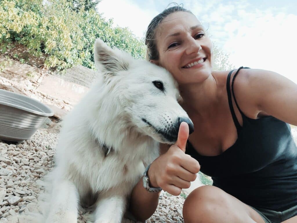 Pension chiens marseille