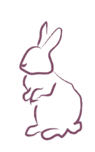 lapin